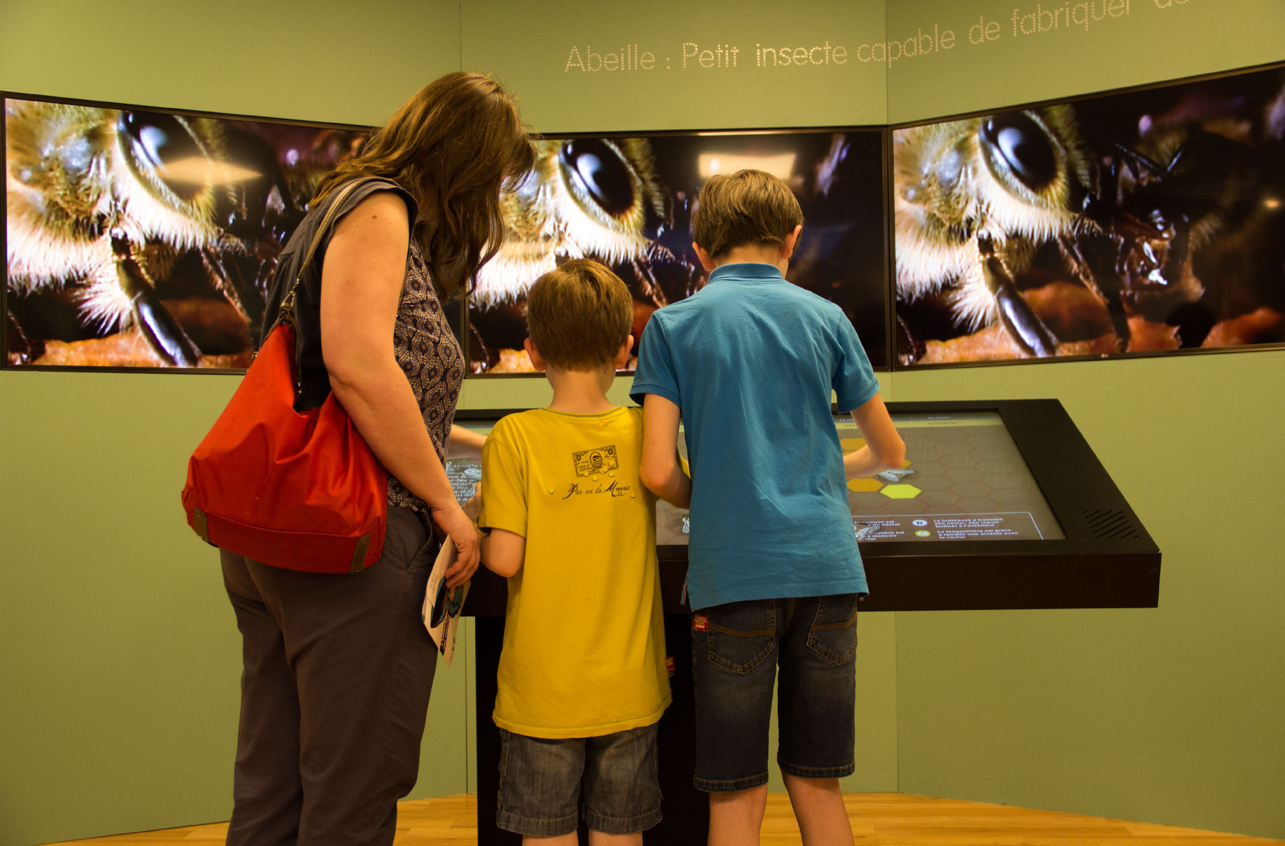 L'image montre une femme et deux enfants observant un écran tactile interactif dans un espace éducatif. L'écran présente des images de abeilles, et la femme, qui porte un sac rouge, semble expliquer quelque chose aux enfants. Les garçons, l'un en t-shirt jaune et l'autre en bleu, sont concentrés sur l'interface. L'environnement est lumineux et accueillant, avec des murs de couleur verte et des écrans en arrière-plan qui affichent des close-ups d'abeilles.